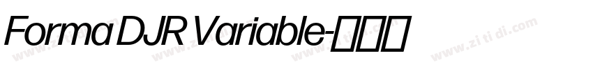 Forma DJR Variable字体转换